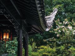 -耦园