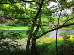 -阿哈湖国家湿地公园