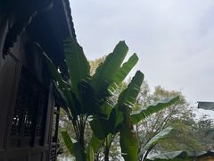 -重庆园博园