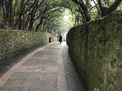 -普陀山风景区-佛顶山