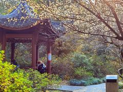-杭州植物园