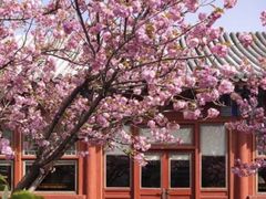 -北京颐和宾馆