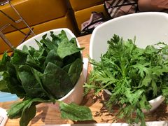茼蒿-掂档潮汕牛肉火锅(沈阳万象城店)