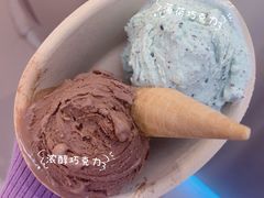 -极拉图·现制冰淇淋(大卫城店)