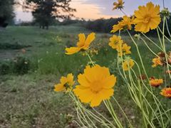 -汉长安城未央宫国家考古遗址公园