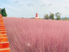 -羊亭河湿地公园