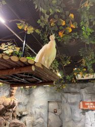 -Zoolung Zoolung动物主题公园(海信广场店)