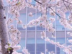 -静安雕塑公园
