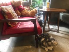 -咖法森林·咖啡  酒吧(天河店)