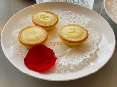 葡式蛋挞-御花园·粤菜·海鲜火锅(中山公园店)
