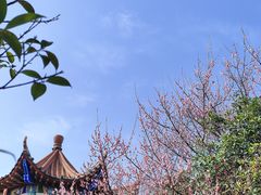 -开福禅寺