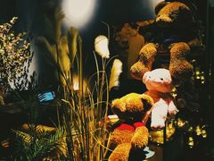 -咖法森林·咖啡  酒吧(天河店)