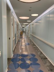 -杭州贝瑞斯美华妇儿医院·早孕·产检·儿科