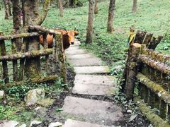 -硗碛藏寨·神木垒景区