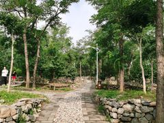 -阳台山自然风景区