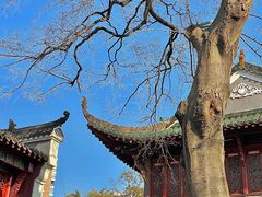 -长春观