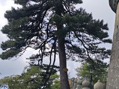 -武当山风景区