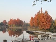 -尚贤河湿地
