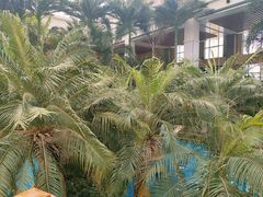 -国信南山温泉