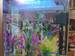 -汉金城海鲜烤肉自助百汇(威海威高广场店)