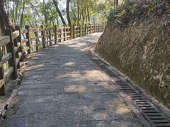 -广州市流溪河国家森林公园