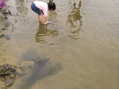 -碧海金沙