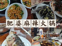-肥婆麻辣火锅.顺德首创药材麻辣火锅(容桂店)