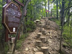 -塔云山