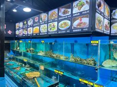 -梧桐庄园