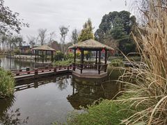 -成飞公园