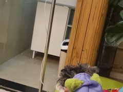 -亚宠动物医院·芭比堂宠物医院(盘龙店)