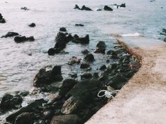 -柱状节理带