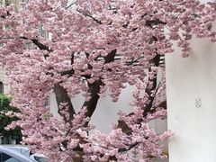 -春天来了(印象新天地店)