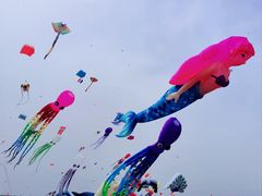 -潍坊滨海云门国际风筝放飞场