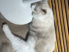 -不错NOTBAD咖啡馆