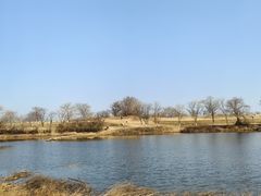 -盘龙城遗址博物院