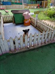 -萌宠亲子动物乐园(槐房万达店)