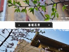 -武汉大学-樱园