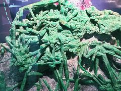 -湖南省地质博物馆