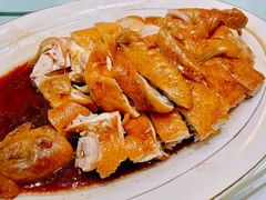 -金苑海鲜酒家(新港中路店)