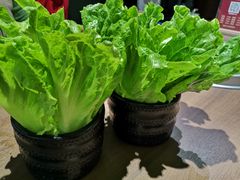 -快乐小羊·内蒙牛羊肉火锅(流花中心店)