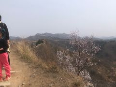 -蟠龙山长城景区