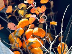 -丽都DELICATESSEN熟食店