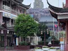 -上海东林寺(金山区)