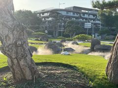 -罗红摄影艺术馆