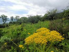 -硗碛藏寨·神木垒景区
