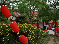 -上海海湾国家森林公园