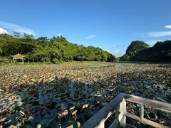-星湖旅游景区七星岩