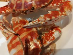 -瑞德姆美人鱼海底演艺主题餐厅(亚龙湾店)