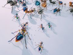 -东浩兰生上海世博展览馆